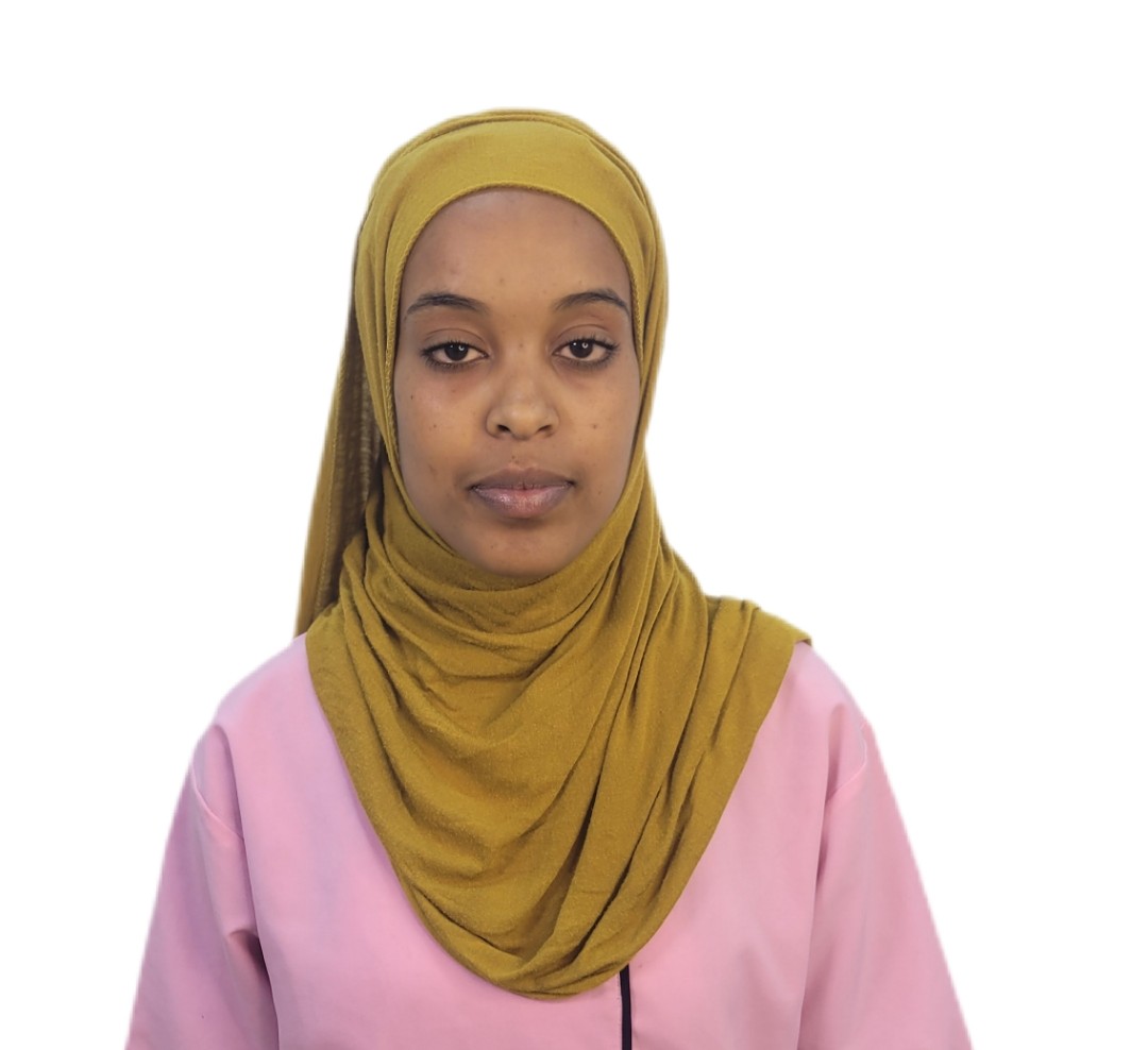 MESERET DEGEFE WOLDEMARIAM